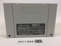 SK1394 Elfaria II 2 The Quest of the Meld SNES Super Famicom Japan