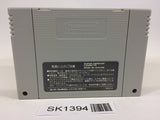 SK1394 Elfaria II 2 The Quest of the Meld SNES Super Famicom Japan