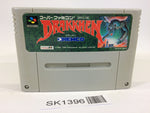 SK1396 Drakkhen SNES Super Famicom Japan