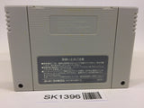 SK1396 Drakkhen SNES Super Famicom Japan