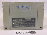 SK1399 Elfaria A Fantastic Theater SNES Super Famicom Japan