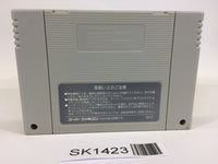 SK1423 Super R Type SNES Super Famicom Japan
