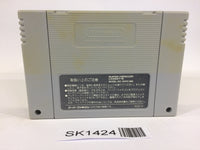 SK1424 Super R Type SNES Super Famicom Japan