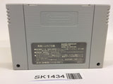 SK1434 Ranma 1/2 Chougi Ranbu Hen SNES Super Famicom Japan