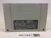 SK1441 Parodius da! Shinwa Kara Owarai he SNES Super Famicom Japan