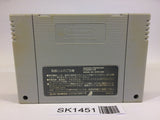 SK1451 Super Tetris 2 + Bombliss Limited SNES Super Famicom Japan
