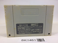 SK1461 Super Dunk Shot Basketball SNES Super Famicom Japan