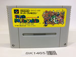 SK1465 Super Mario World SNES Super Famicom Japan