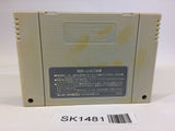 SK1481 Street Fighter II 2 SNES Super Famicom Japan