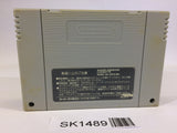 SK1489 Dragon Ball Z Super Butouden 3 SNES Super Famicom Japan