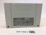 SK1491 Dragon Ball Z Hyper Dimension SNES Super Famicom Japan
