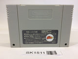 SK1511 The Legend Of Zelda A Link to the Past SNES Super Famicom Japan
