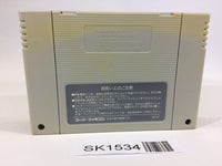 SK1534 Silva Saga II 2 The Legend of Light&Darkness SNES Super Famicom Japan