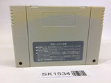 SK1534 Silva Saga II 2 The Legend of Light&Darkness SNES Super Famicom Japan