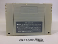 SK1536 Dragon Slayer Eiyuu Densetsu SNES Super Famicom Japan