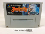 SK1546 Bastard!! Ankoku no Hakaishin SNES Super Famicom Japan