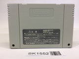 SK1552 Lennus Paladin's Quest SNES Super Famicom Japan