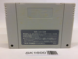 SK1600 Super Puyo Puyo 2 Remix Tsu SNES Super Famicom Japan