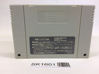 SK1601 Super Nazo Puyo Rulue no Roux Puyo Puyo SNES Super Famicom Japan