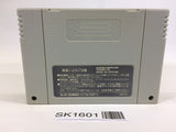 SK1601 Super Nazo Puyo Rulue no Roux Puyo Puyo SNES Super Famicom Japan
