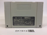 SK1613 Mickey & Minnie Magical Adventure 2 SNES Super Famicom Japan
