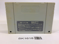 SK1618 F Zero SNES Super Famicom Japan
