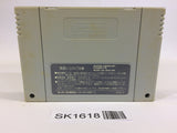 SK1618 F Zero SNES Super Famicom Japan
