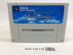 SK1619 Pilotwings SNES Super Famicom Japan