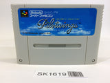 SK1619 Pilotwings SNES Super Famicom Japan