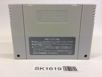 SK1619 Pilotwings SNES Super Famicom Japan