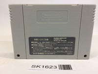 SK1623 Super Hockey '94 SNES Super Famicom Japan