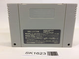 SK1623 Super Hockey '94 SNES Super Famicom Japan