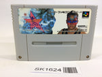SK1624 FirePro Joshi AllStarDreamSlam Pro Wrestling SNES Super Famicom Japan