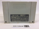 SK1624 FirePro Joshi AllStarDreamSlam Pro Wrestling SNES Super Famicom Japan