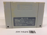 SK1625 Zen Nippon ProWrestling SNES Super Famicom Japan