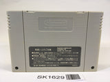 SK1629 Super Mario World SNES Super Famicom Japan