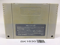 SK1630 Super Mario World SNES Super Famicom Japan