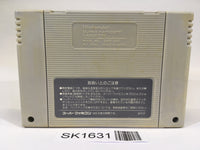 SK1631 Super Mario World SNES Super Famicom Japan