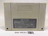 SK1631 Super Mario World SNES Super Famicom Japan