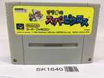 SK1640 Mario's Super Picross SNES Super Famicom Japan
