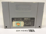SK1640 Mario's Super Picross SNES Super Famicom Japan
