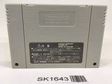 SK1643 Super Donkey Kong Country SNES Super Famicom Japan