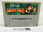 SK1644 Super Donkey Kong Country SNES Super Famicom Japan
