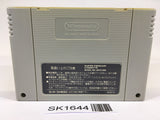 SK1644 Super Donkey Kong Country SNES Super Famicom Japan