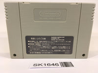 SK1646 Super Donkey Kong Country SNES Super Famicom Japan