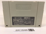 SK1646 Super Donkey Kong Country SNES Super Famicom Japan