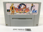 SK1653 Art Of Fighting SNES Super Famicom Japan