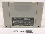 SK1653 Art Of Fighting SNES Super Famicom Japan