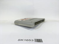 SK1653 Art Of Fighting SNES Super Famicom Japan