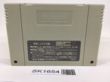 SK1654 Art Of Fighting SNES Super Famicom Japan